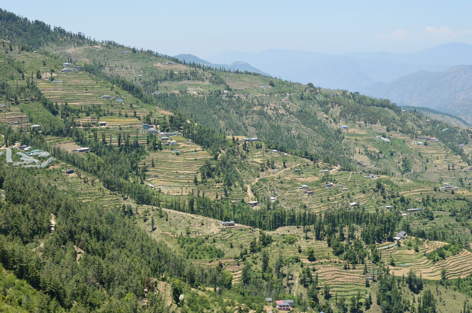 A road through the hills at Fagu with forest and terraced slopes