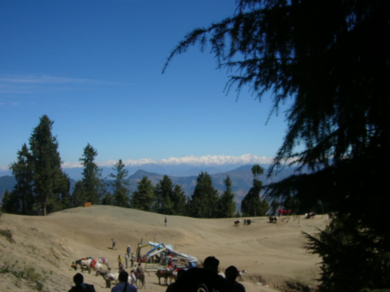 A clearing among the pine forest at Kufri with distant blue mountains