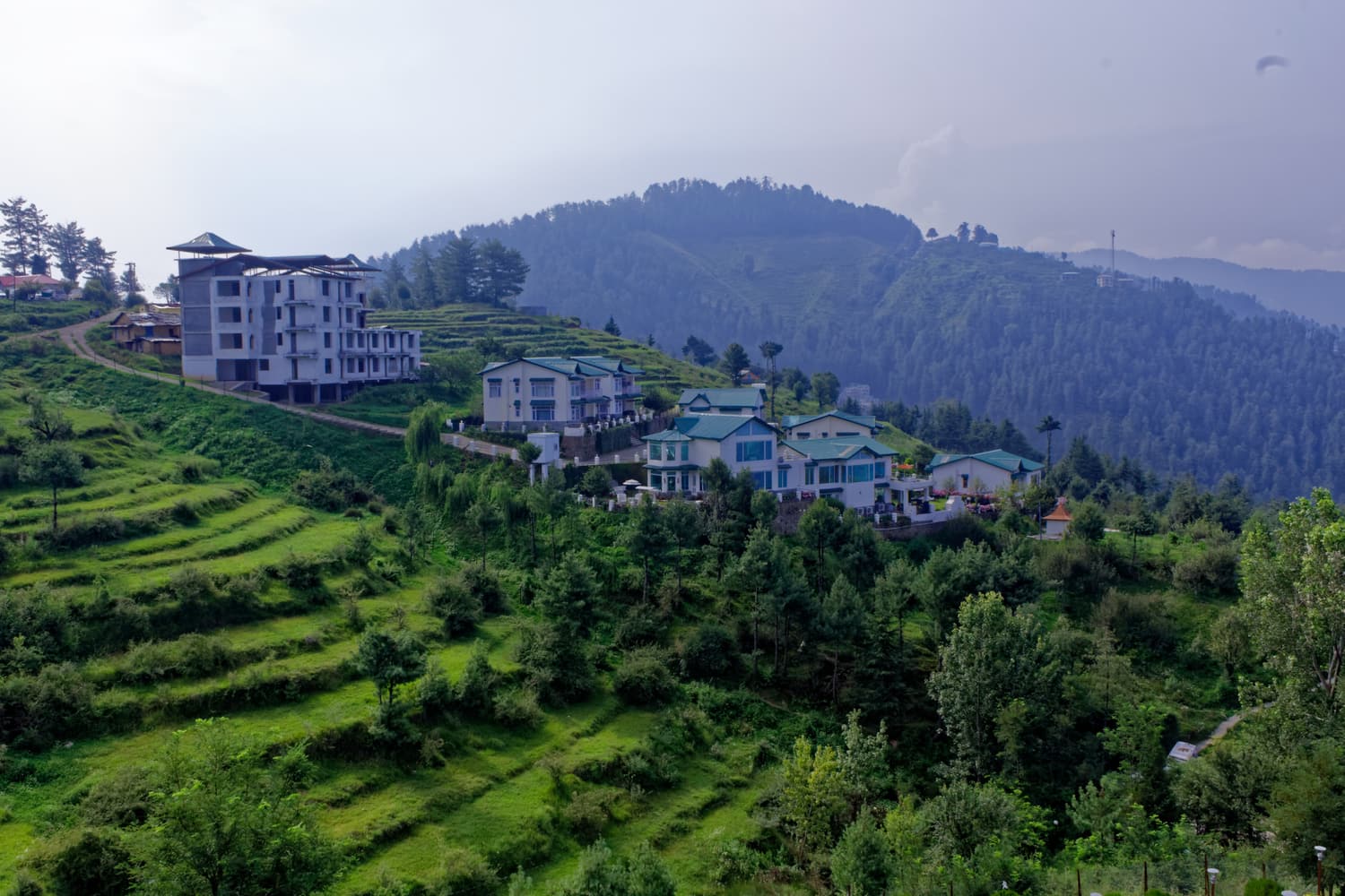 Terraced fields and hillside buildings at Mashobra under forested hills