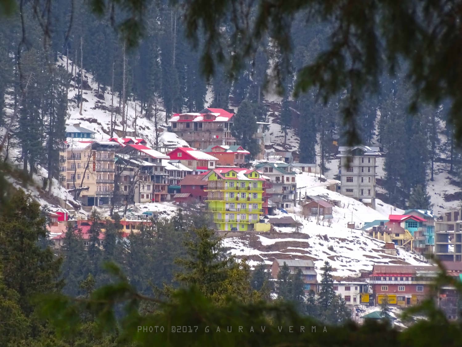 Narkanda’s houses scattered among pine trees on a snowy hillside