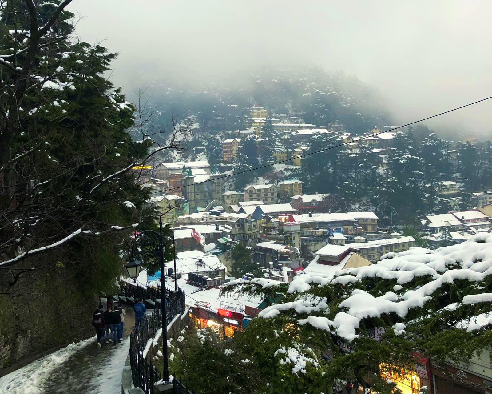 Snow on the rooftops and deodars of Shimla