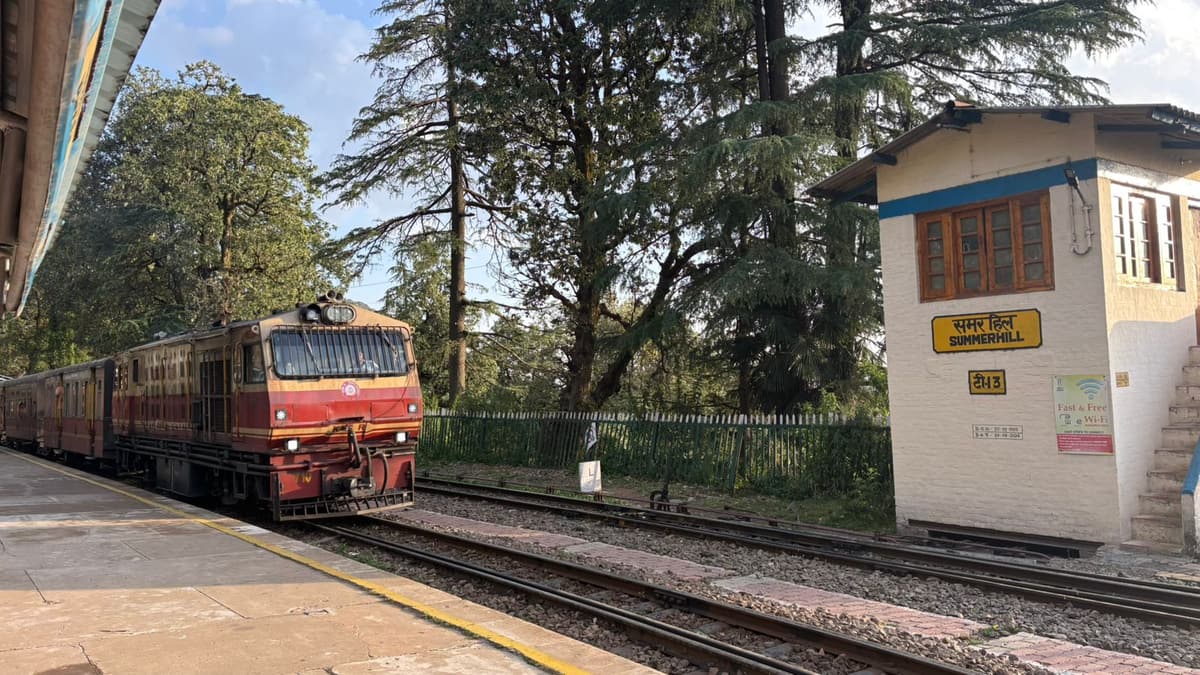 The Kalka–Shimla toy train pulling into Summer Hill station among deodar trees